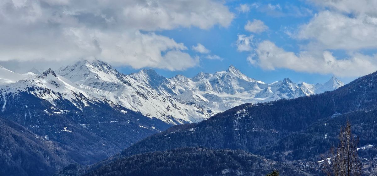 Havre de Paix avec vue imprenable et grand terrain  – Grande Haie de deux mètres de haut sûr tout le terrain- Garanti calme et intimité  Bluche, Crans-Montana.