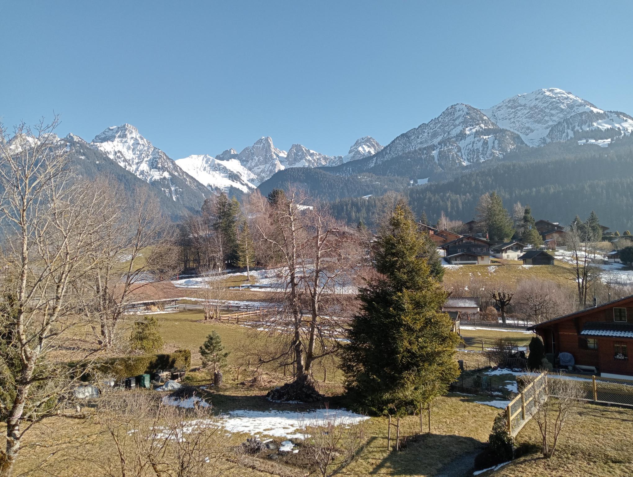 ruwzpxjezo__img20250217155139-1.jpg