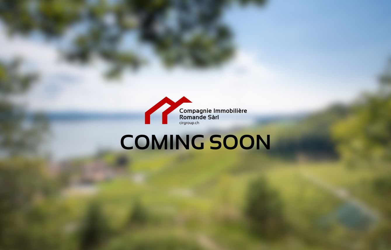 Prestigieuse villa contemporaine avec vue imprenable sur le lac de Morat - Photo de présentation