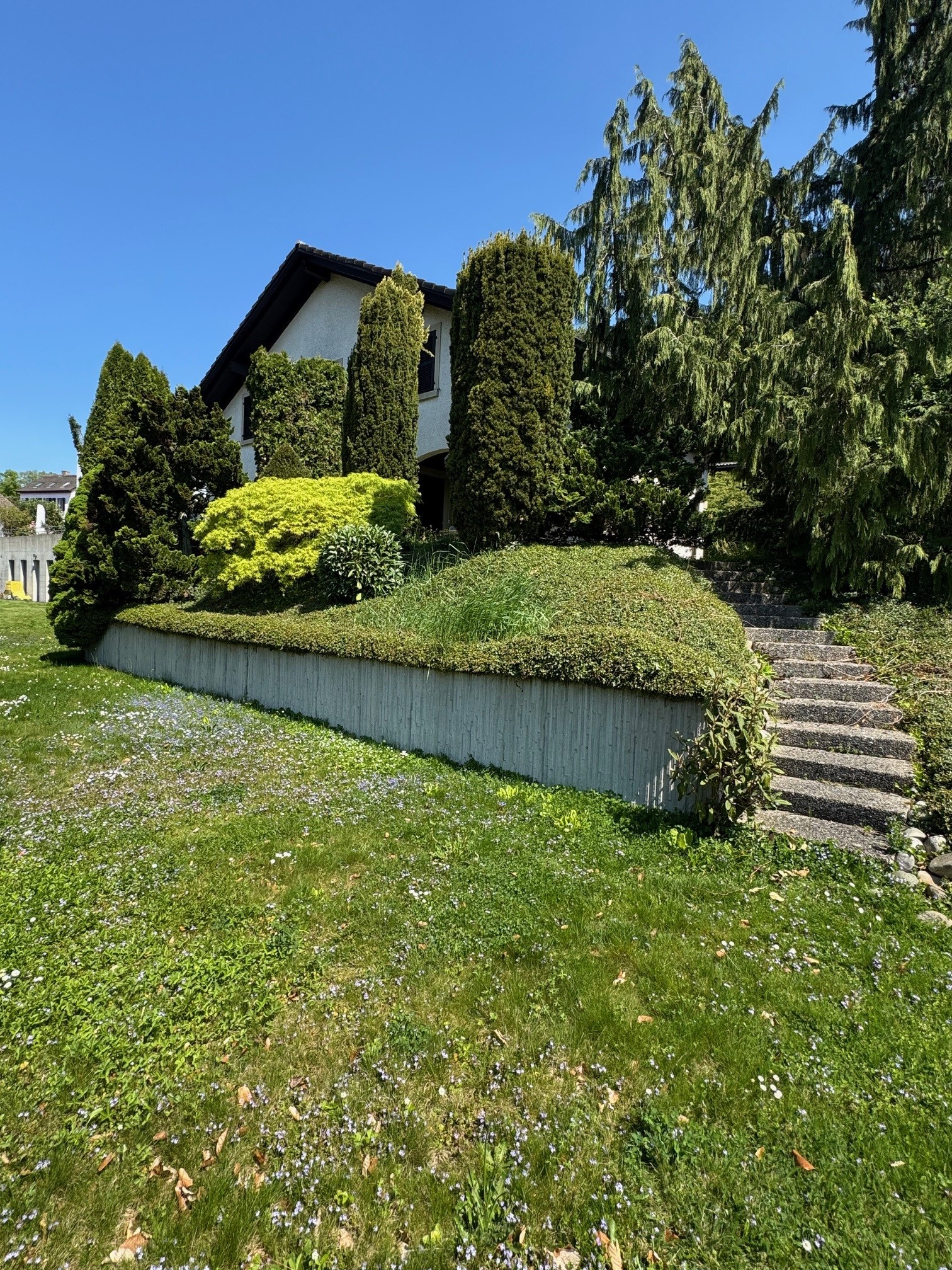 ext_faivre_2_-_jardin_2025-04-30-095311