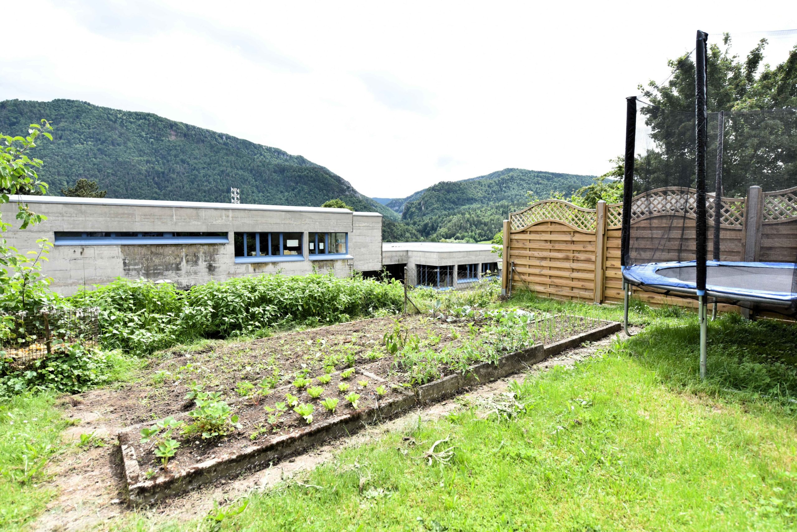 fawer_6__2025-06-10-123639