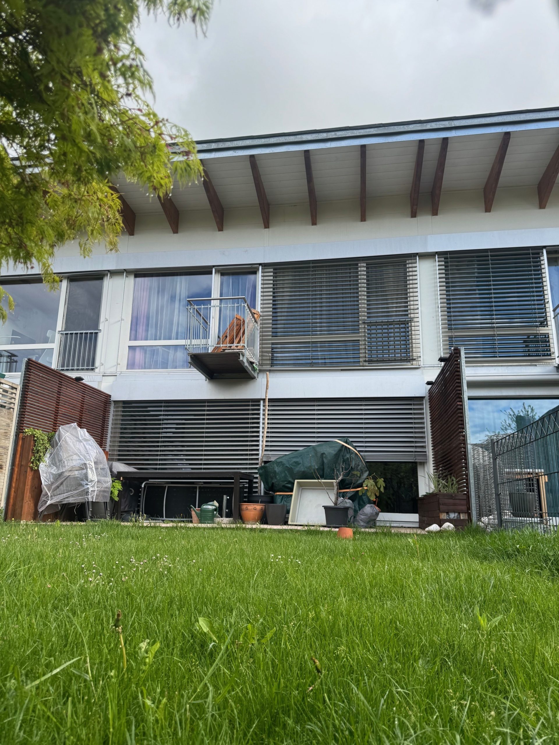 vergers_5c_-_jardin_sud_2025-06-04-075149