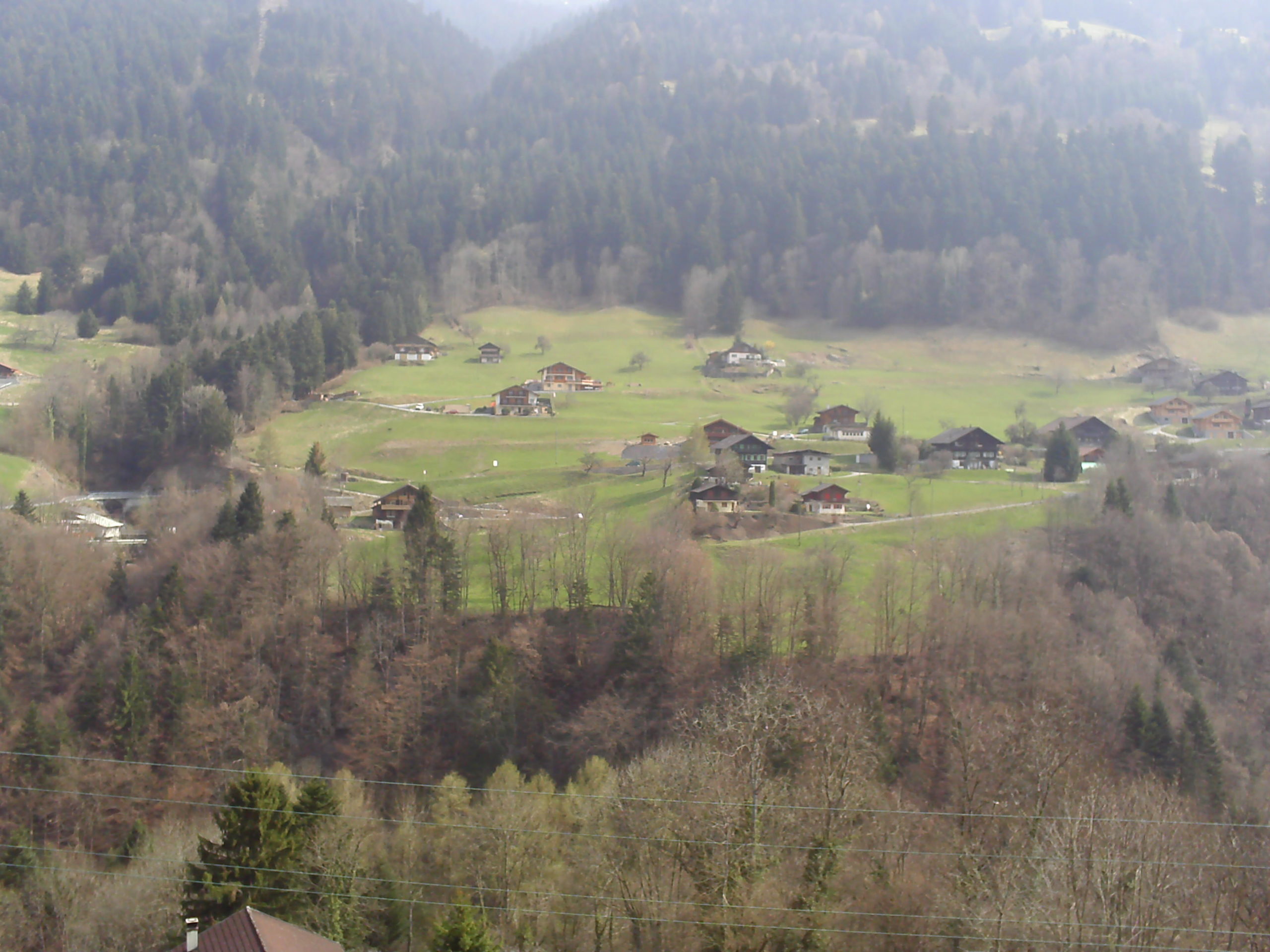 kwemirbrlm__vue_3_5_p__1.jpg