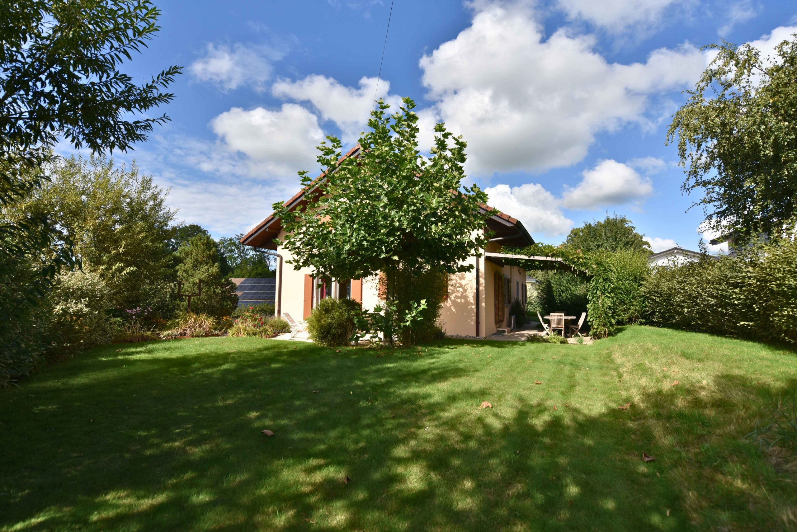 mauron_17__2025-09-11-121450