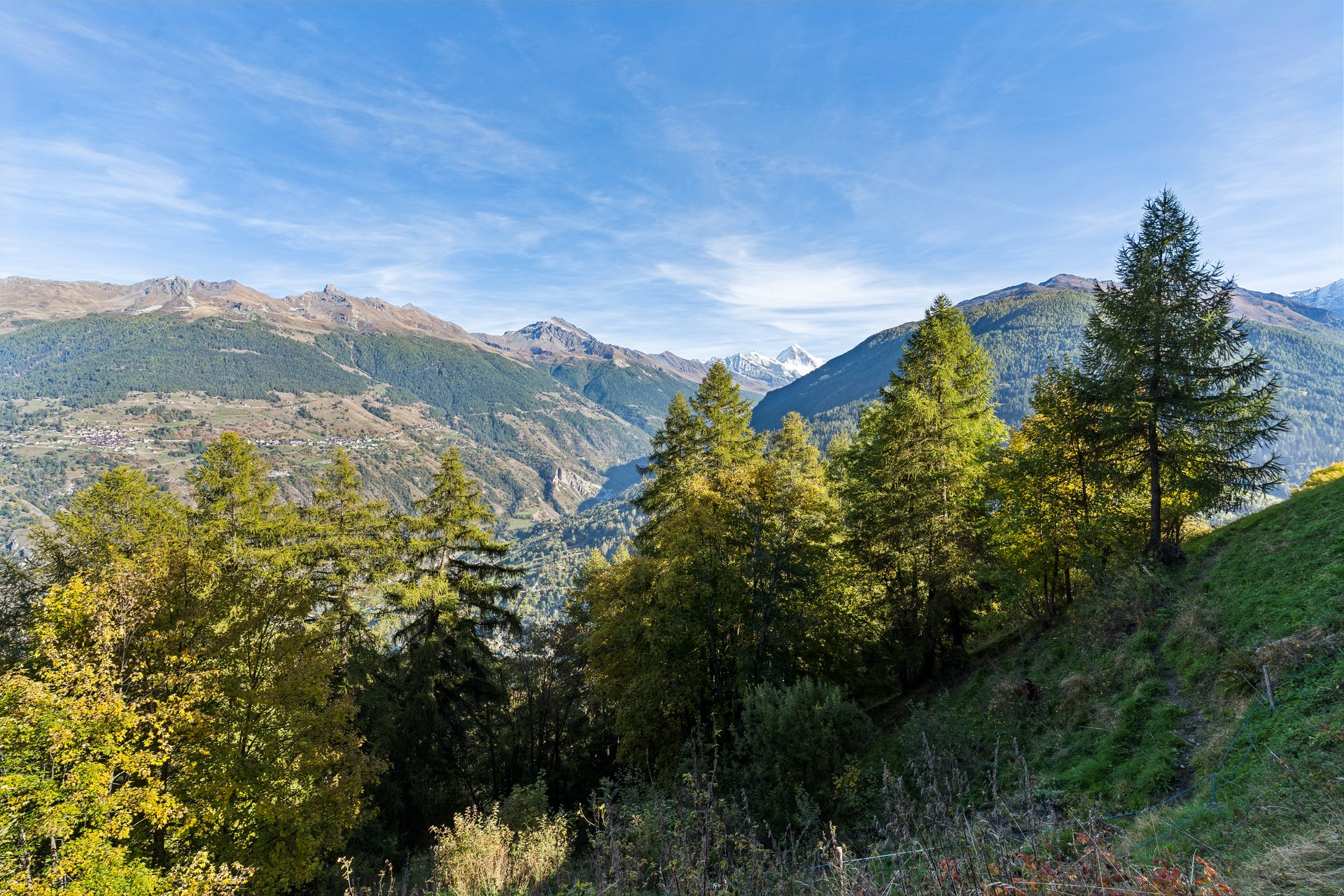 Chalet authentique avec vue sur la Dent Blanche entouré d’un grand terrain, au cœur de la nature - Photo de présentation