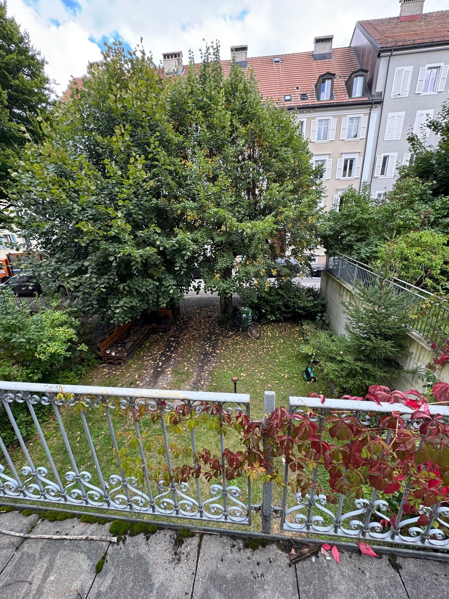 jardin_paix_97_2025-10-07-085241