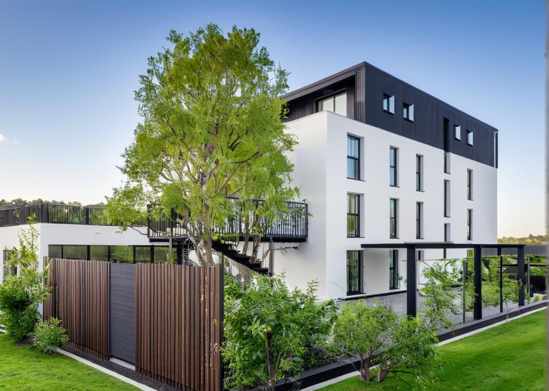 _tilleul_1_2025-10-21-074416