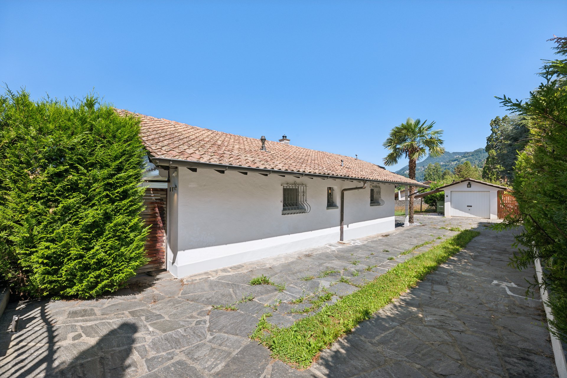 backbone_559425-a_043_web_2025-07-21-140739