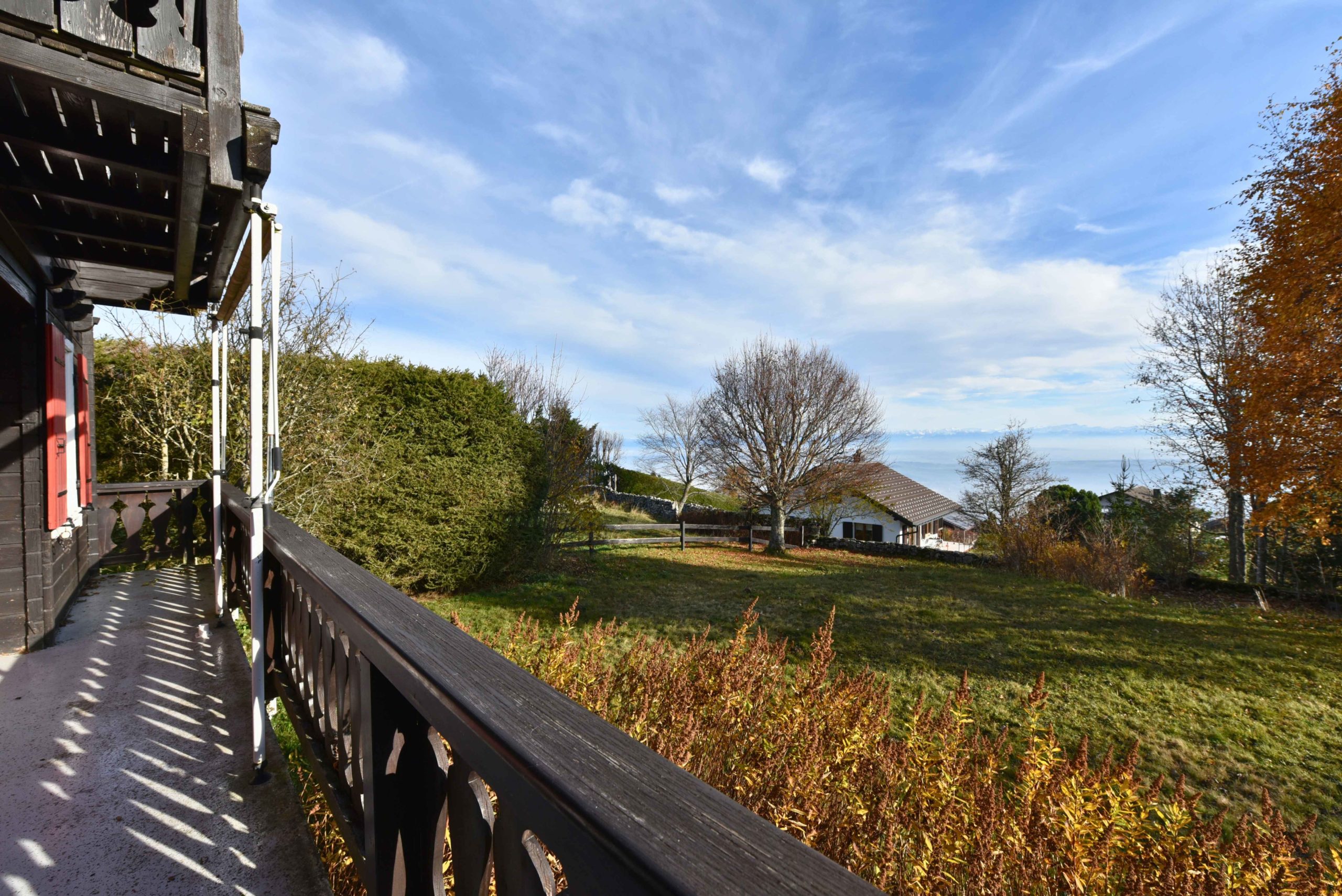 fasoletti_5__2025-11-11-075130