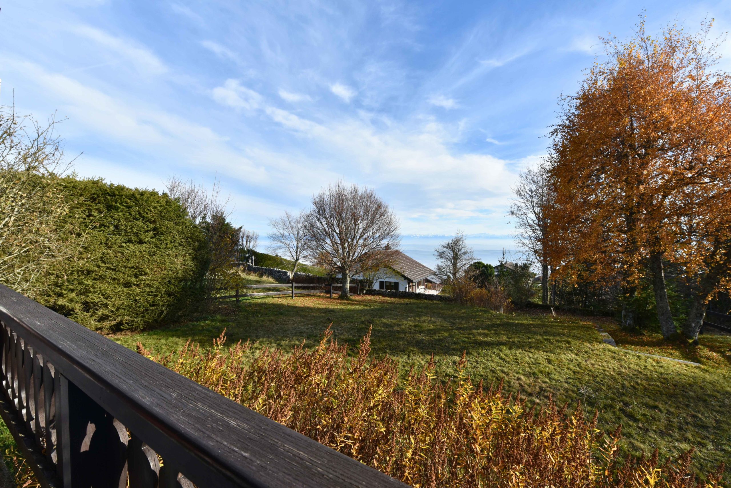 fasoletti_6__2025-11-11-075130