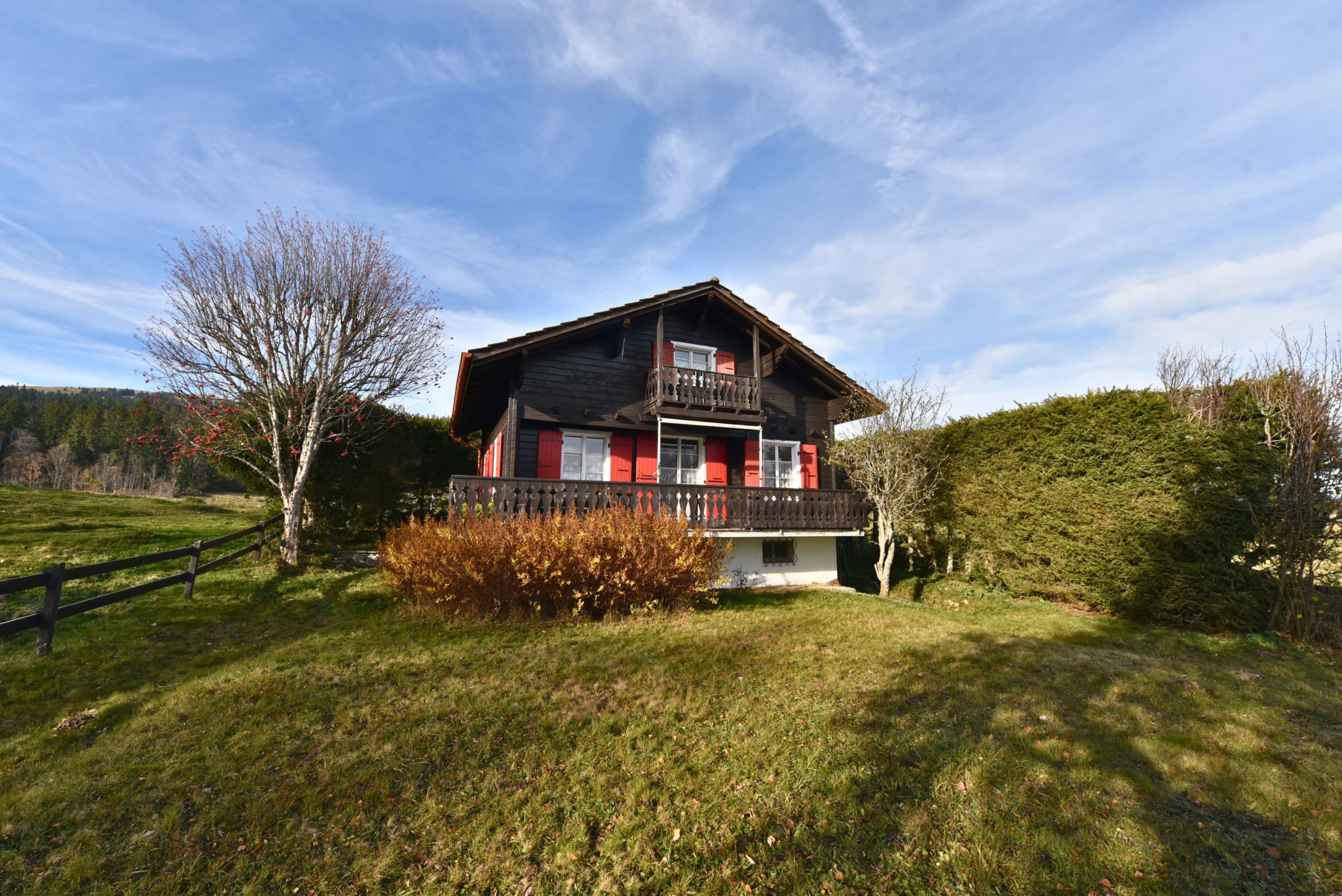 fasoletti_8__2025-11-11-075130