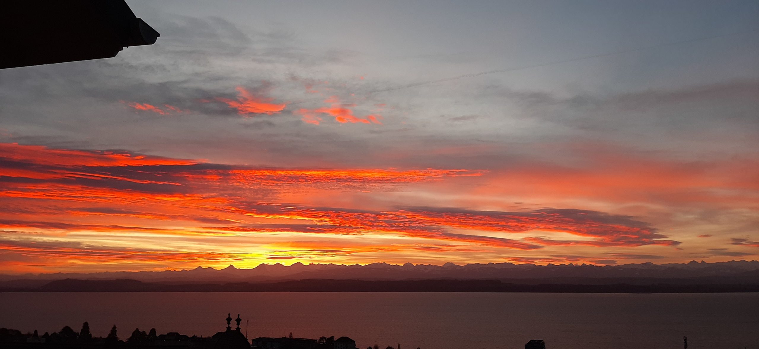 20230112_080543_2025-12-09-084704