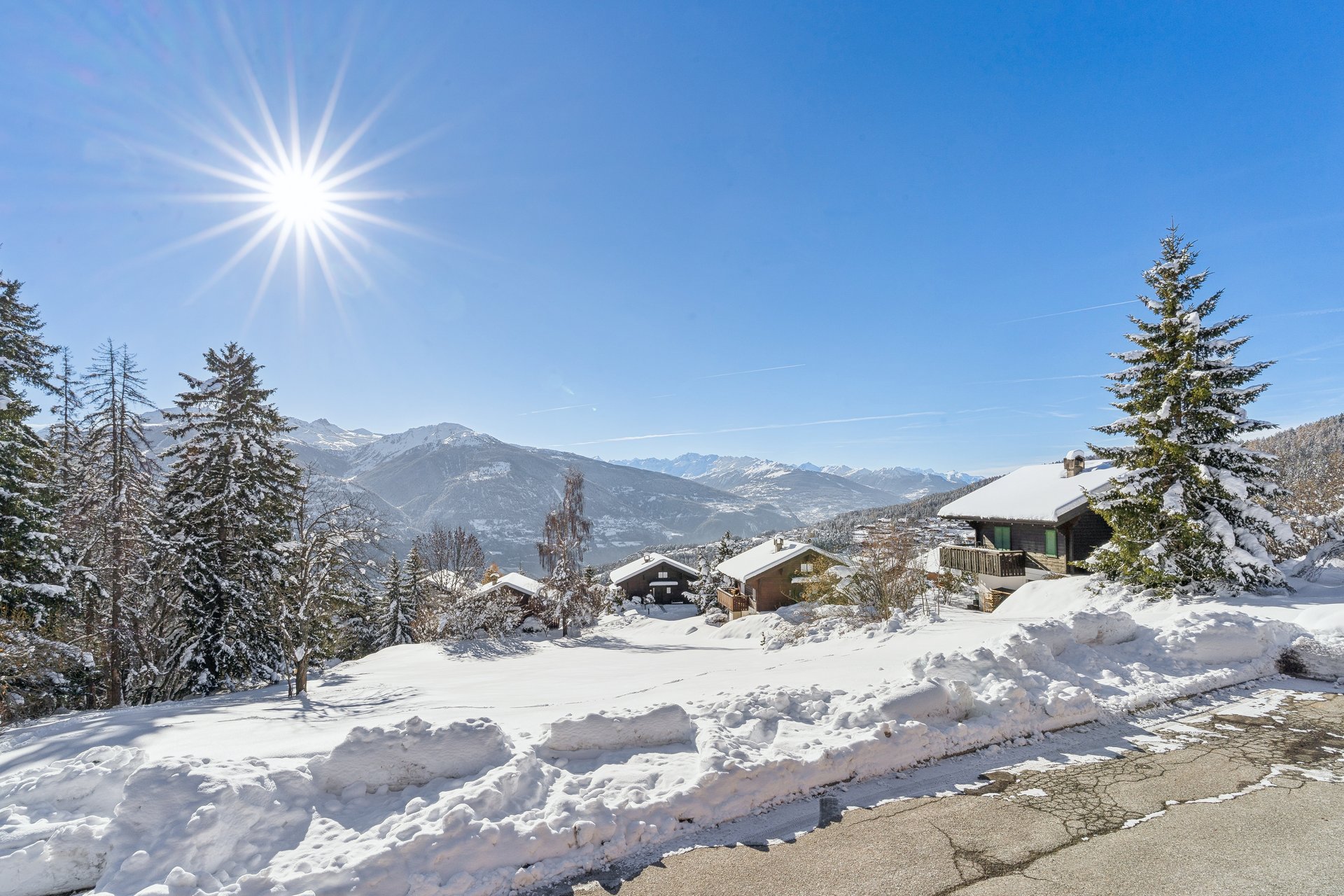 backbone_585628-a_037_web_2025-12-01-163657