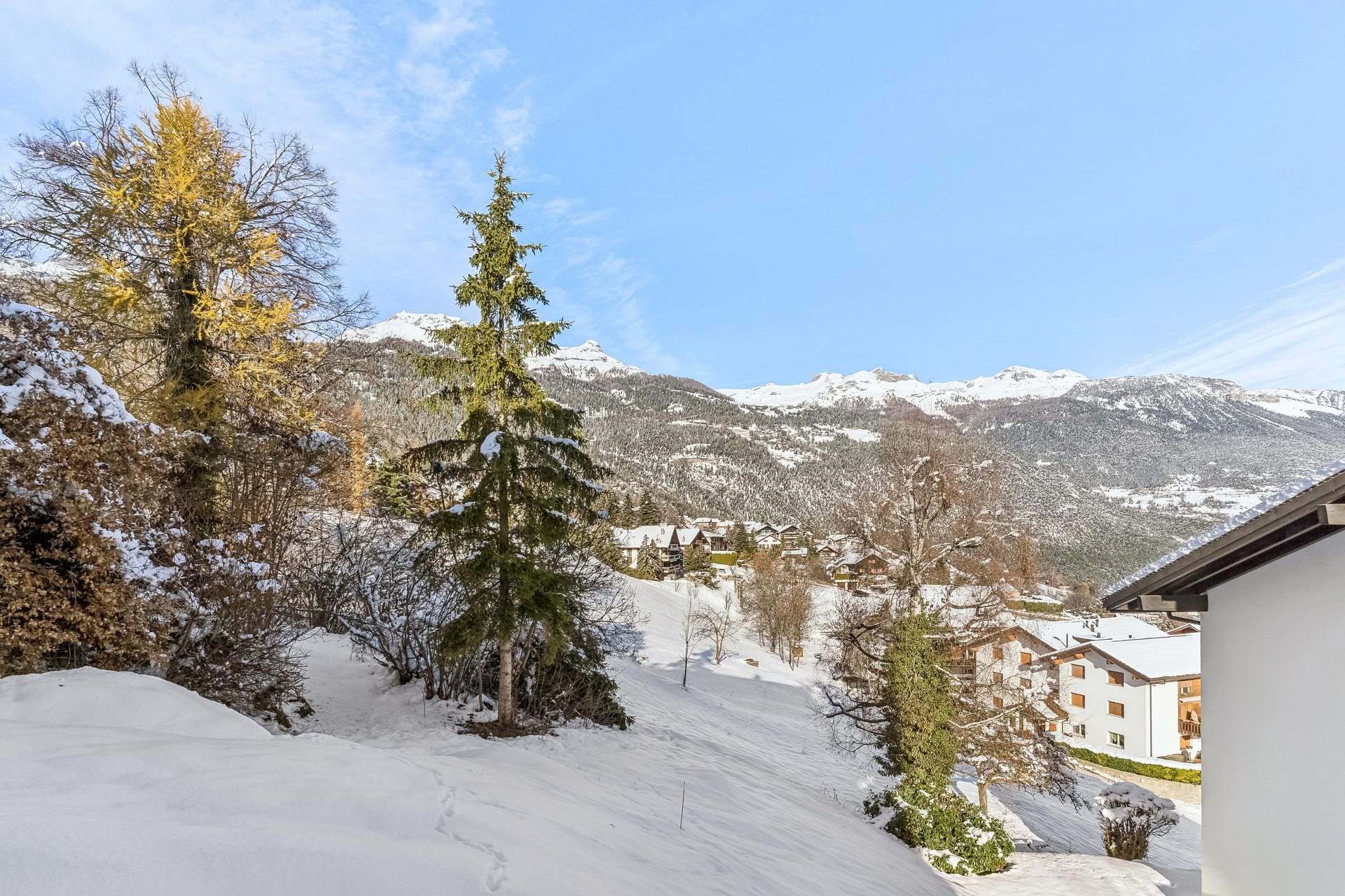 backbone_586662-a_007_web_2025-12-01-164534