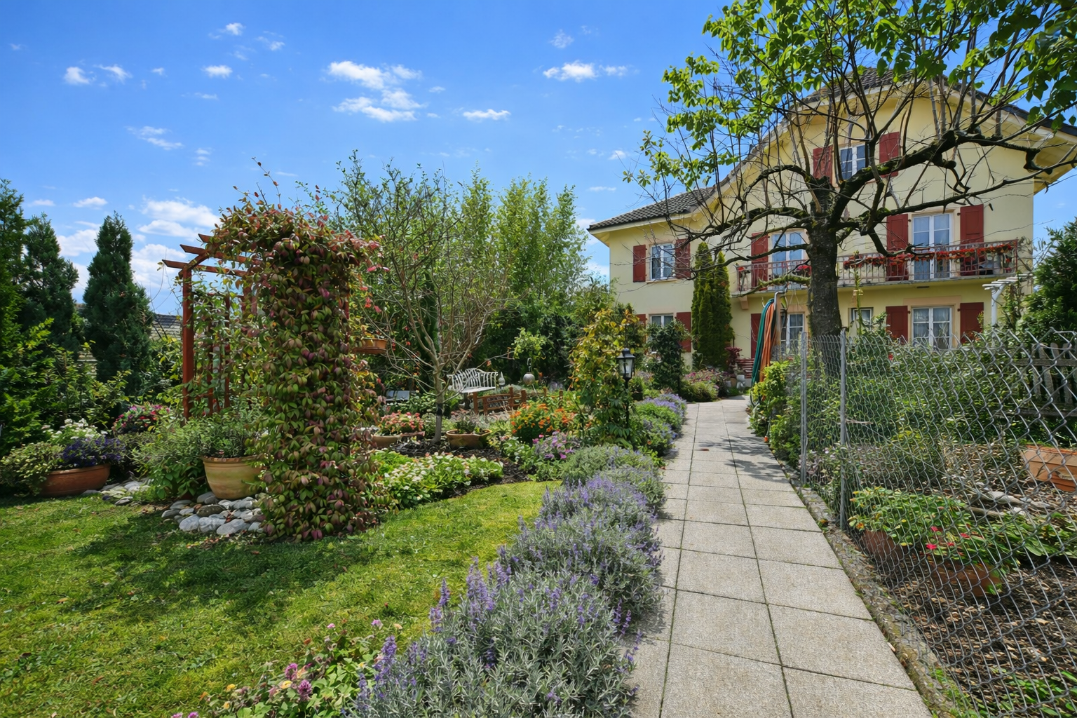 lysek_5__2025-12-18-095024