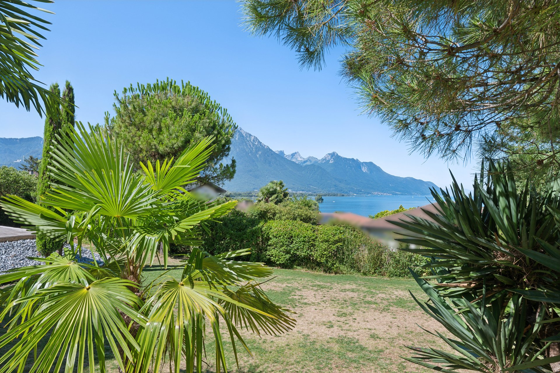 backbone_559425-a_037_b_web_2025-07-21-140739