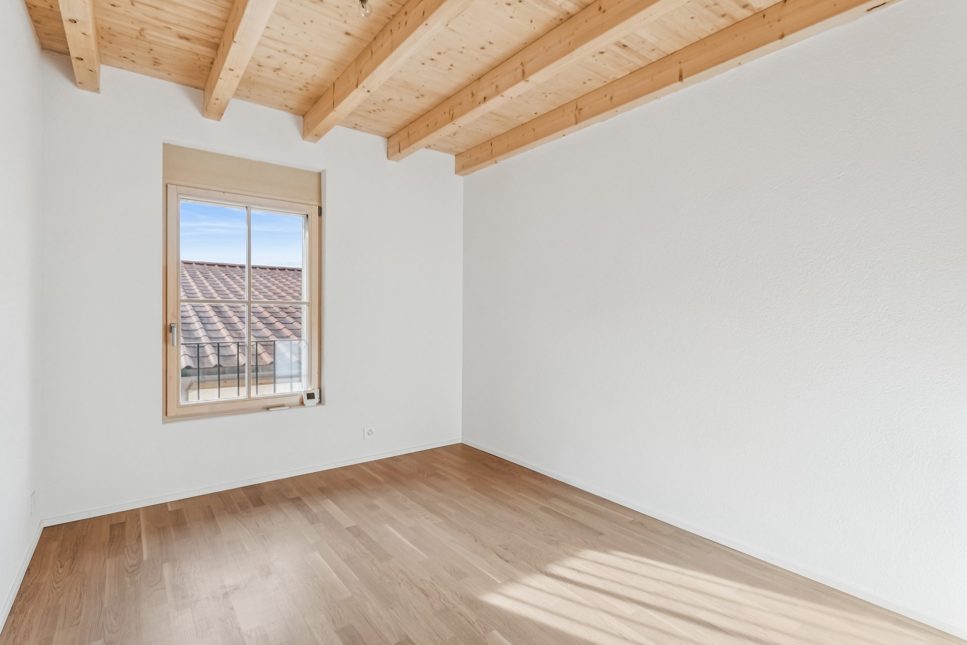 605976-A-backbonephoto-019