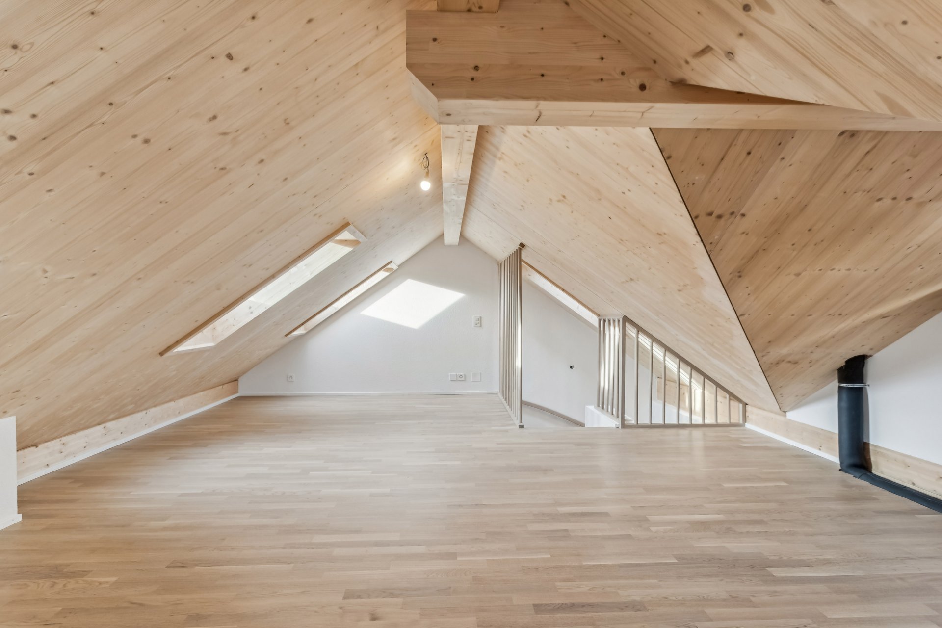 605976-A-backbonephoto-031