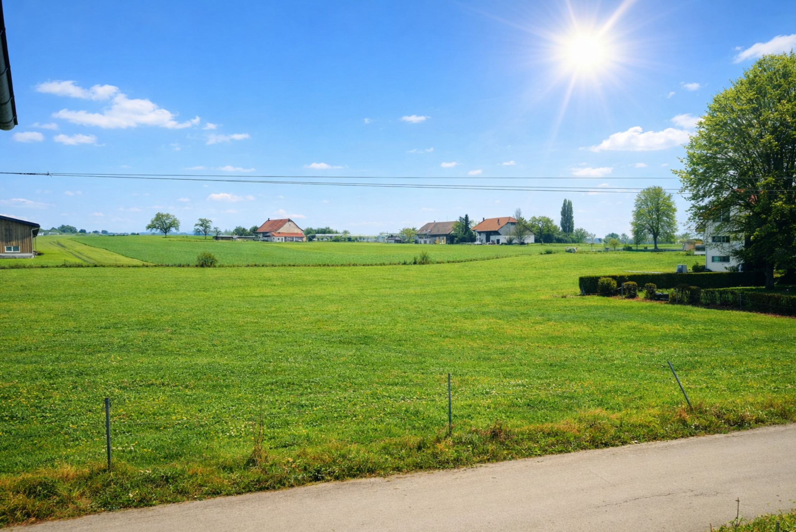 Shabani__Ivv9D54odSvlyI8ENT_Hk